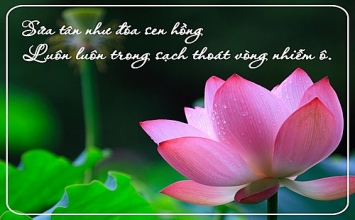Những câu nói truyền cảm hứng